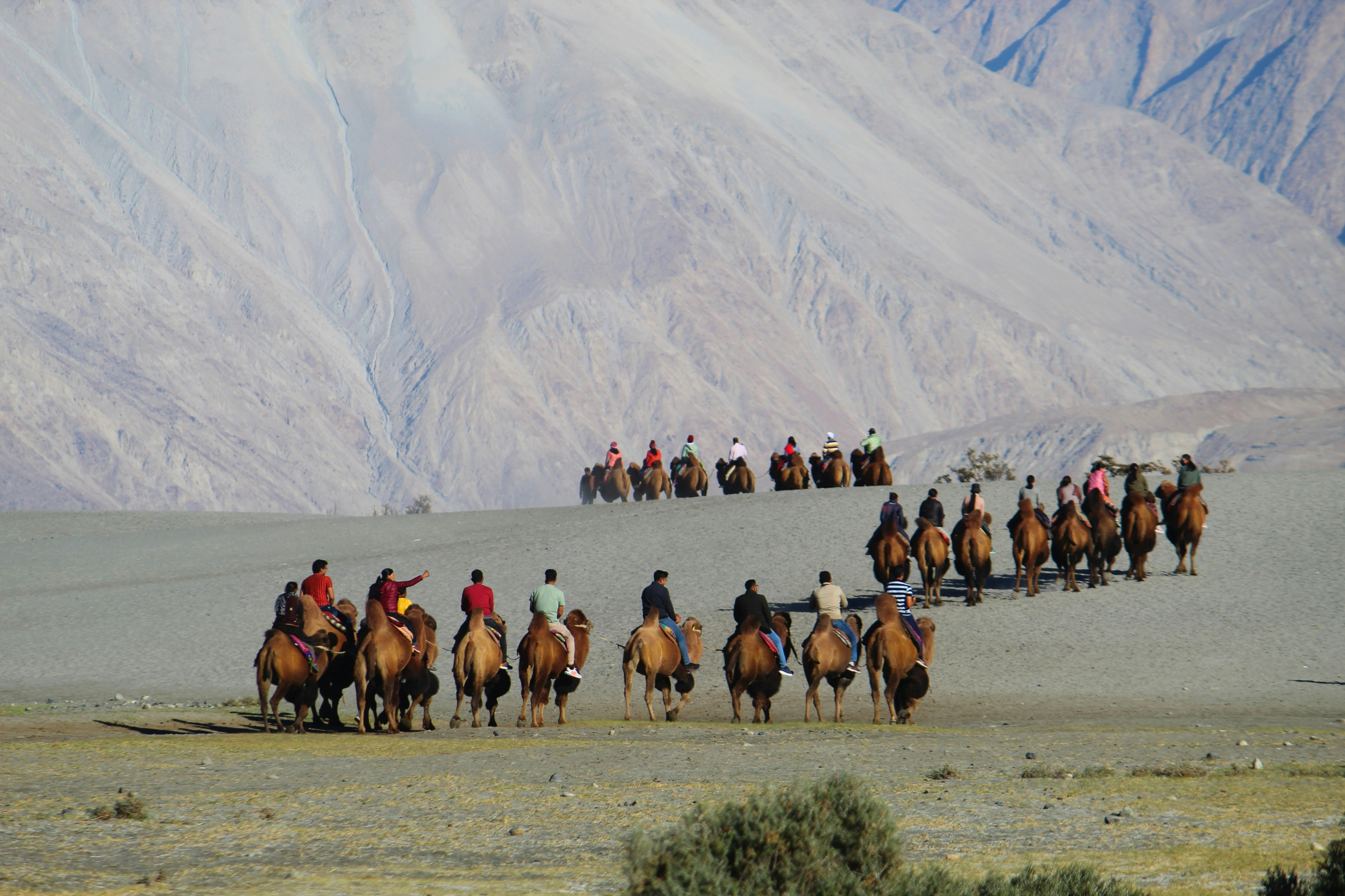 Nubra Valley